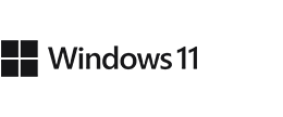windows 11
